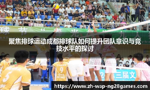 聚焦排球运动成都排球队如何提升团队意识与竞技水平的探讨